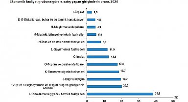 TÜİK: Yurt dışına web satışı yapan girişimlerin oranı arttı