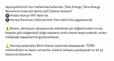 Türkiye ile Japonya arasında demir yolunda iş birliği