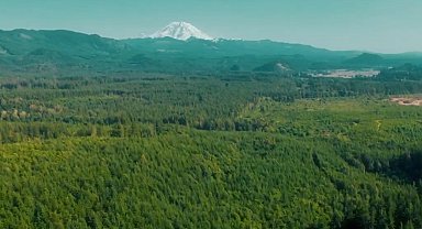 Türkiye'den New York'ta 'Sıfır Atık Mavi-Damla Damla' sergisi