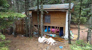 Uludağ'da ayılar, tatilcilerin yiyecek bıraktığı 18 baraka ve eşyalara zarar verdi