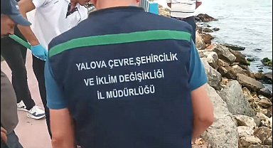 Yalova'da çevre kirliliğine neden olan 2 belediyeye 4 milyon TL ceza