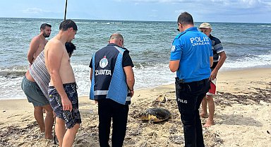 Yaralı caretta caretta tedaviye alındı
