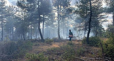 Yıldımı düşen ormanda çıkan yangında 1 hektar alan zarar gördü