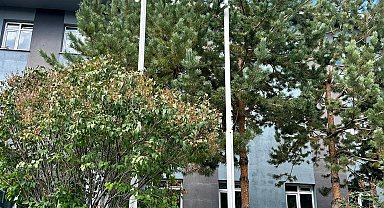 'Bir kere yükselen bayrak bir daha inmez' diyerek Filistin bayrağını göndere çektiler