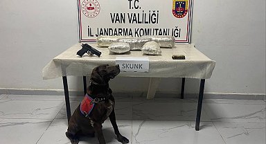 'Tütün', araçta 4 kilo skunk buldu