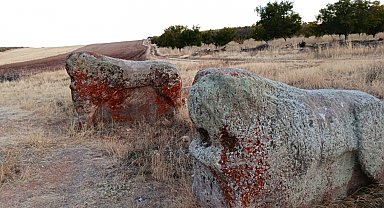 4 bin yıllık 2 Aslantaş için taşınma kararı