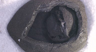 4 bin yıllık nohut ve 8 bin 600 yıllık ekmek kalıntıları gün yüzüne çıkarıldı