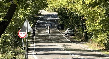 Ağaç tünel yolda görsel şölen