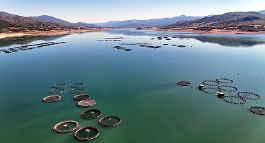 Almus Barajı'nda yetiştirilen alabalık ve somon balığı 5 ülkeye ihraç ediliyor