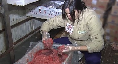 Ankara'da uygunsuzluk tespit edilen 16,7 ton hayvansal gıda imha edildi