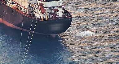 Antalya'da 'deniz çöpleri' seferberliği