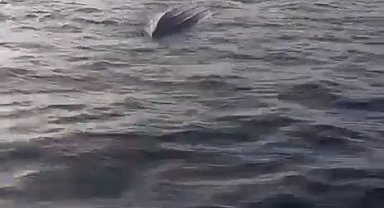 Artvin'de balıkçılar insansız deniz aracı buldu; özel ekip inceleyecek