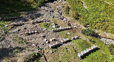 Artvin'de selde arı kovanları da zarar gördü