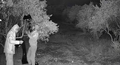 Aydın'da kaçak tarihi eser kazısına suçüstü: 4 gözaltı