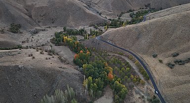Babasından kalan ceviz bahçesinden 8 ton ürün aldı