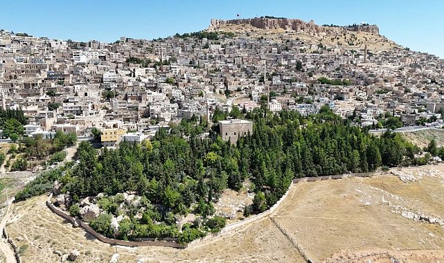Babasının diktiği 3 bini aşkın fidan için 'hatıra ormanı' talebi