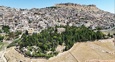 Babasının diktiği 3 bini aşkın fidan için 'hatıra ormanı' talebi