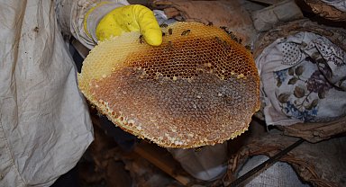 Babasının yaptığı kara kovan arıcılığı, zorlu arazi koşullarında 35 yıldır sürdürüyor