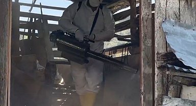 Bakan Yumaklı: Kahverengi kokarcaya karşı 1 milyondan fazla hanede ilaçlama yaptık