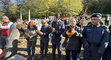 Bartın'da kahverengi kokarca ile mücadele için doğaya 250 sülün salındı