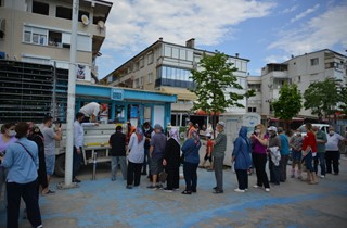 Binlerce domates fidesi Gemliklilere hediye ediliyor
