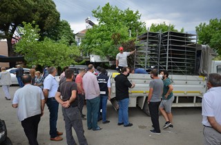 Binlerce domates fidesi Gemliklilere hediye ediliyor