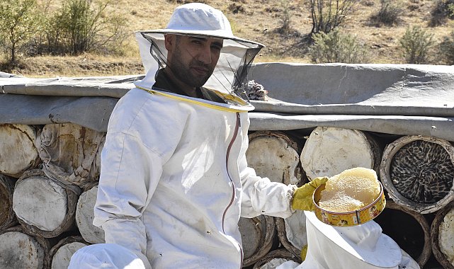 Bitlis'te kara kovan balının hasadı başladı