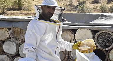 Bitlis'te kara kovan balının hasadı başladı