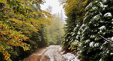 Bolu'nun yüksek kesimlerine kar yağdı