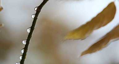 Bursa’da 2 günlük yağışlar ekim ayını kurtardı