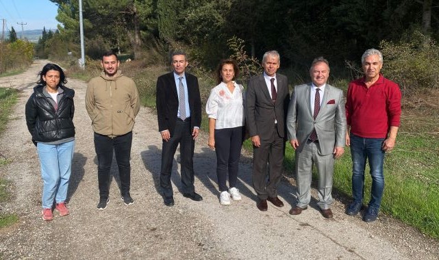 Bursa tarımına akademik bakış