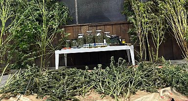 Bursa'da 9 kilo 400 gram esrar ele geçirildi; 1 gözaltı