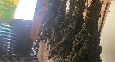 Bursa'da güvercin kümesine gizlenmiş uyuşturucu ele geçirildi