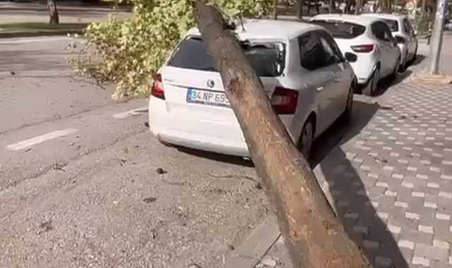 Bursa'da lodos etkili oldu; ağaçlar devrildi, çatılar uçtu