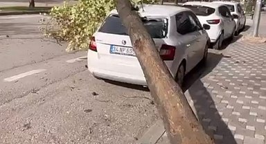 Bursa'da lodos etkili oldu; ağaçlar devrildi, çatılar uçtu