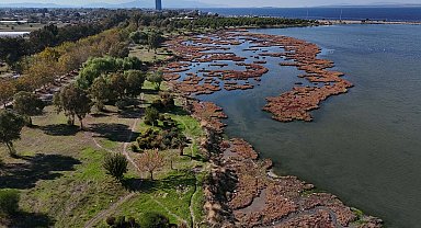 Çakalburnu Lagünü'nde sonbahar manzarası