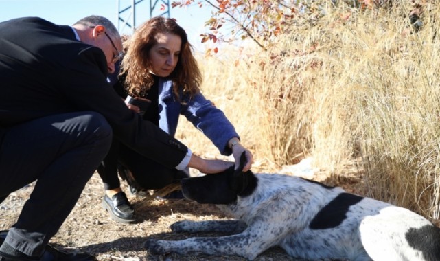 Can Dostlar İçin Mudanya’da Güç Birliği