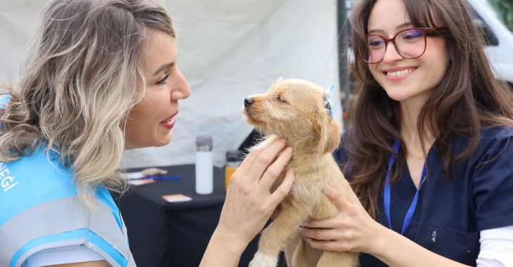 Can dostlar yeni yuvalarına kavuştu