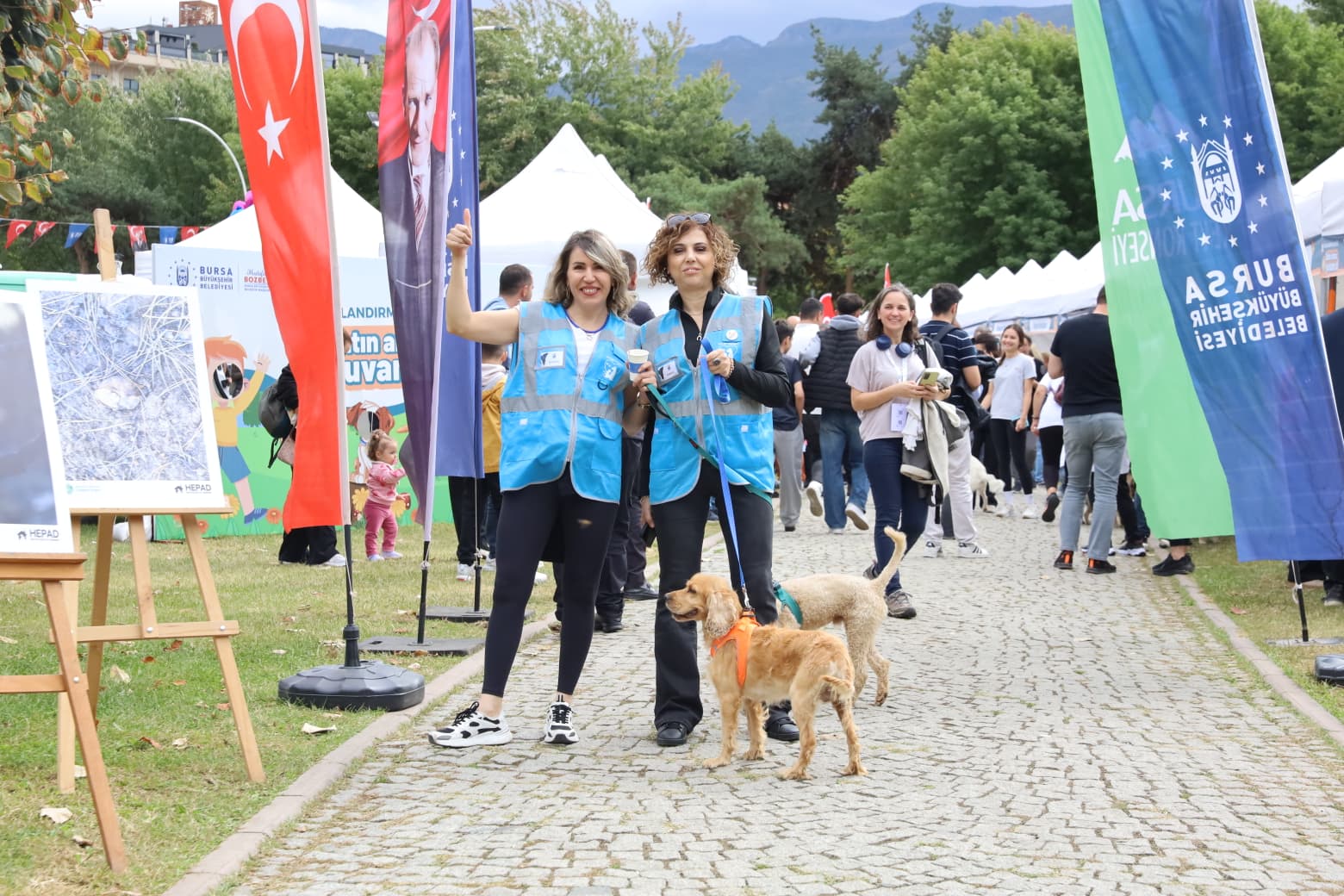 Can dostlar yeni yuvalarına kavuştu