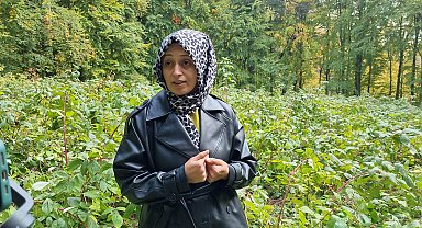 Çiftçi Esra, ilk hasadını ayılara kaptırdı