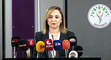 DEM Parti'li Doğan: Öcalan'ın dinlenmesi için formül üretilmeli