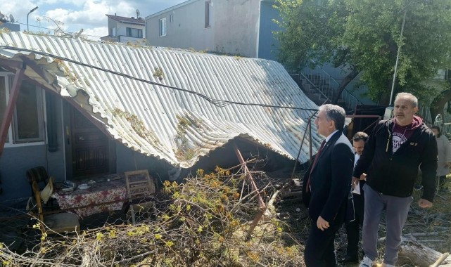 Devrilen Ağaca Anında Müdahale