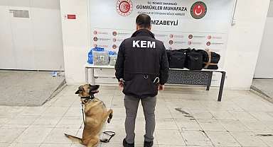 Edirne Hamzabeyli Gümrük Kapısı'nda 105 kilo esrar ele geçirildi