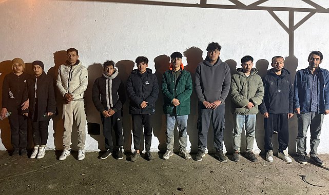 Edirne'de 17 kaçak göçmen yakalandı