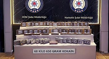 Edirne'de TIR'da 68 kilo kokain ele geçirildi