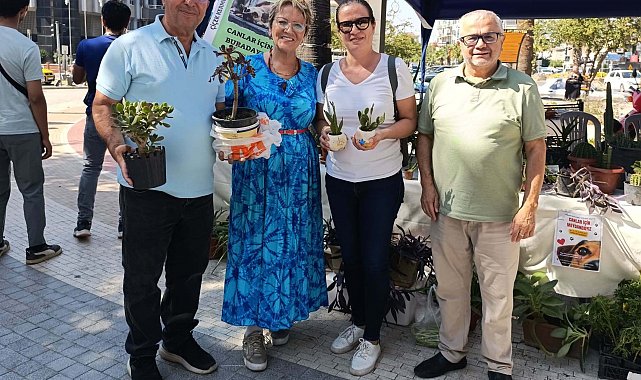 Emekli öğretmenden sokak hayvanları için destek kermesi