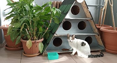 Enerjisa Üretim'den evcil dostlar için güvence ve destek