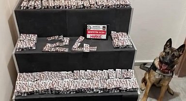 Erzincan'da 6 bin 335 sentetik hap ele geçirildi
