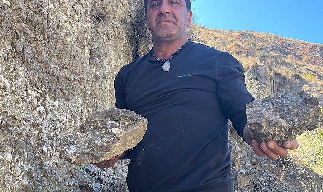Erzurum'da 200 milyon yıllık deniz fosilleri bulundu