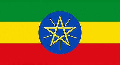 Etiyopya'da kilise inşaatında iskele çöktü: 30 ölü